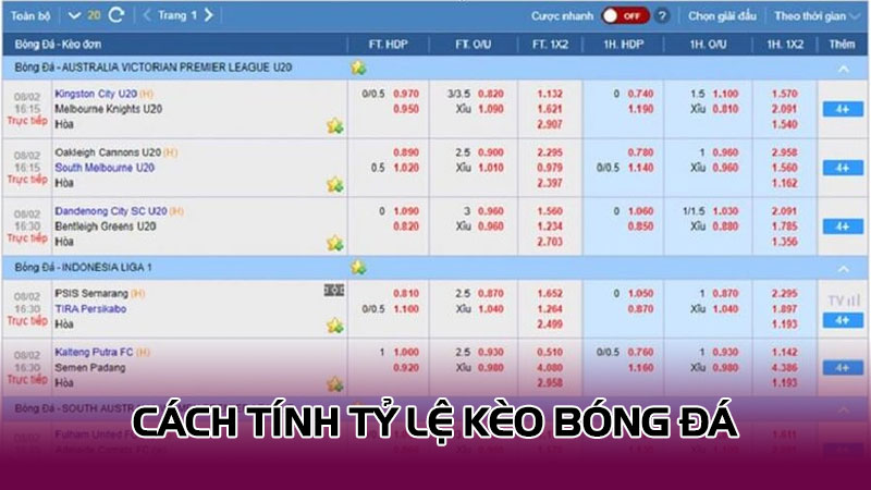 Cách tính tỷ lệ kèo bóng đá