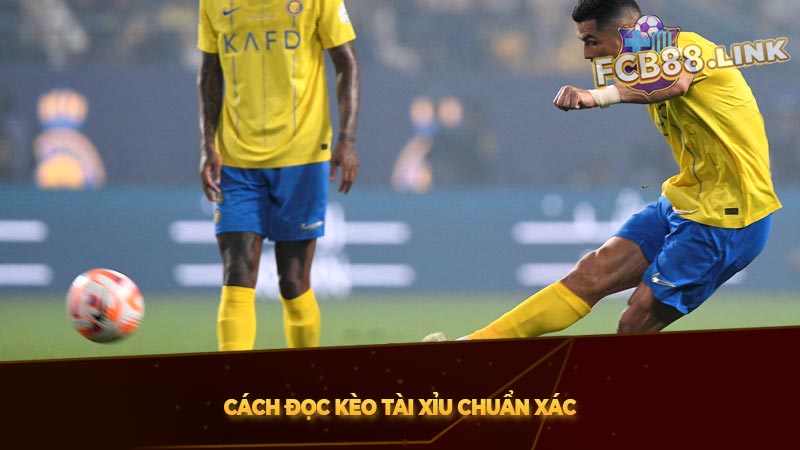 Cách đọc kèo tài xỉu chuẩn xác