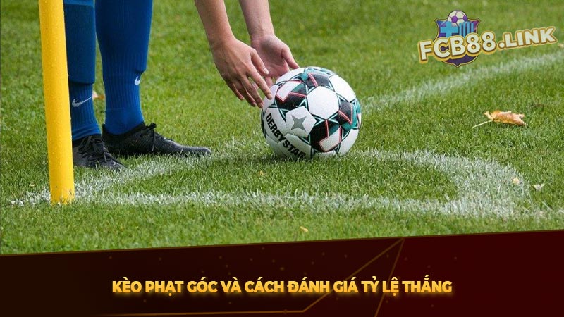 Kèo phạt góc và cách đánh giá tỷ lệ thắng