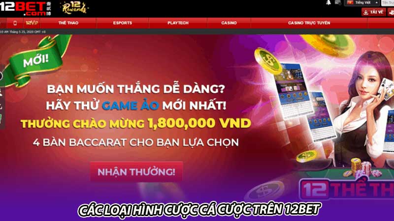 Các loại hình cược cá cược trên 12bet