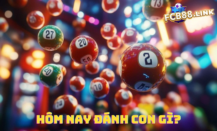 Hôm nay đánh con gì?